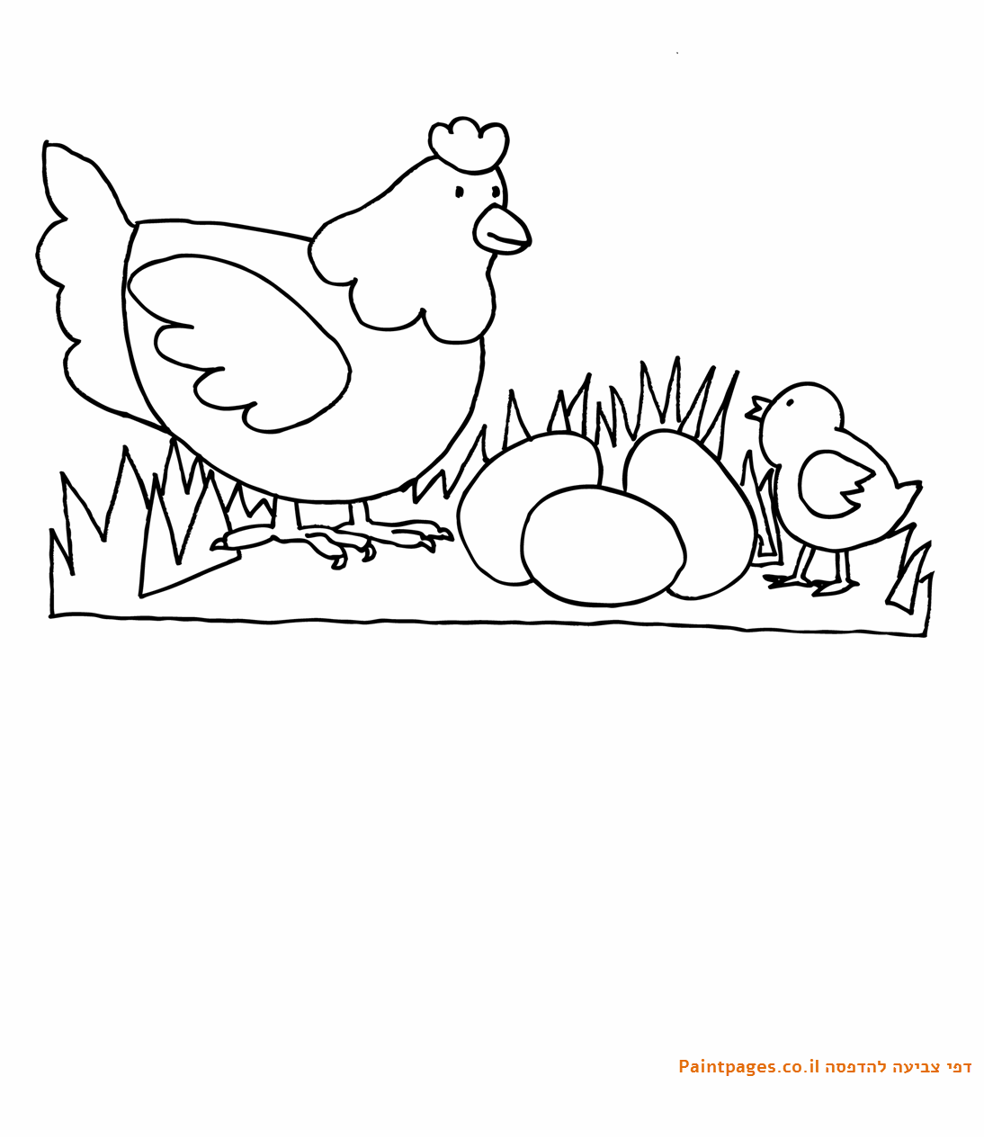 דף צביעה תרנגולת