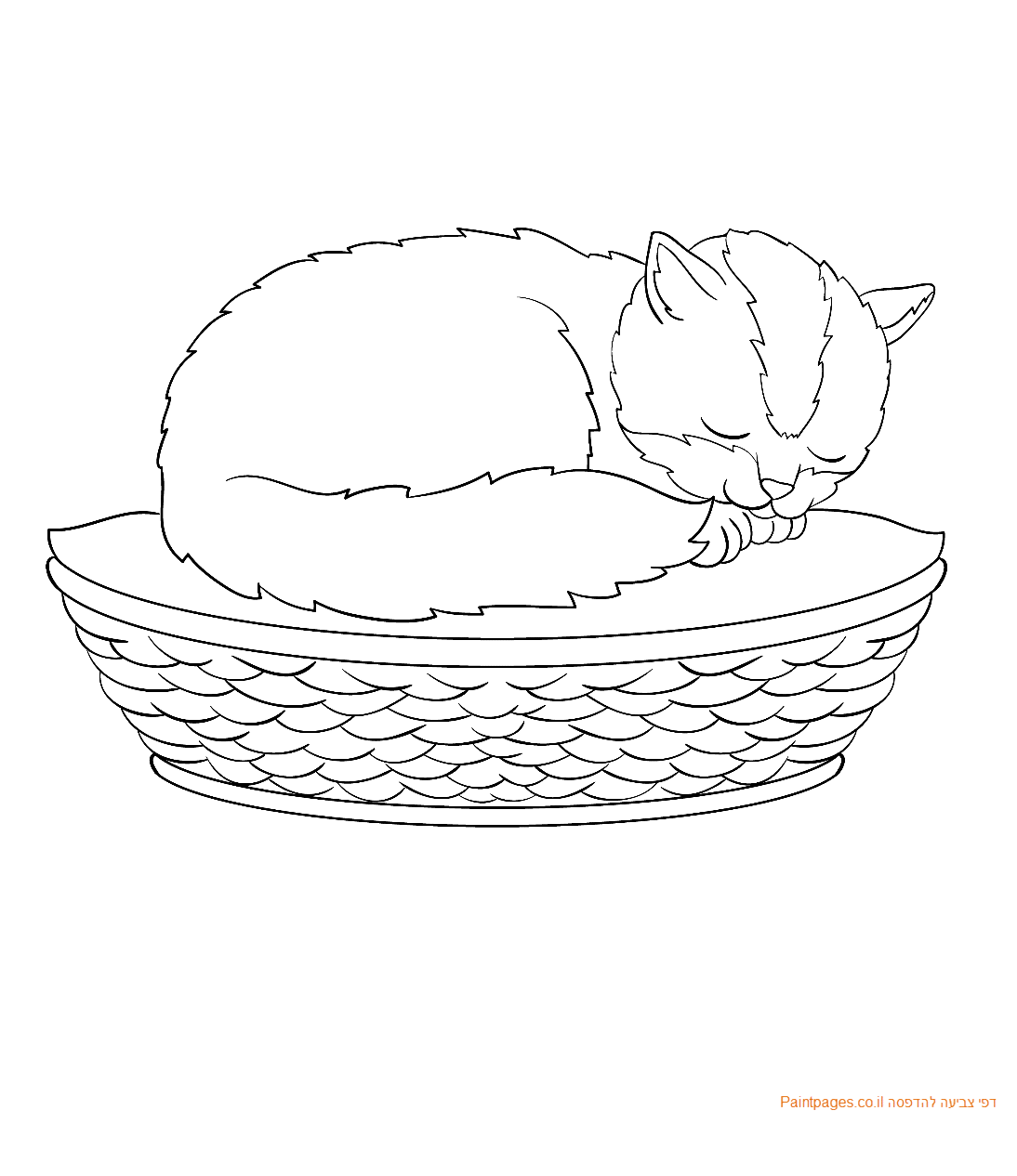 דף צביעה גור חתולים ישן מכורבל