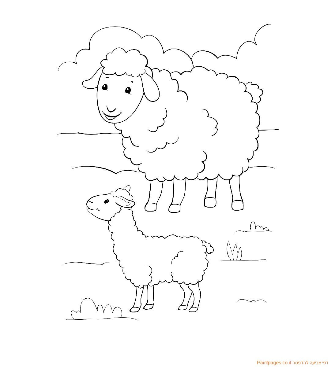 דף צביעה כבשה וגדי תינוק