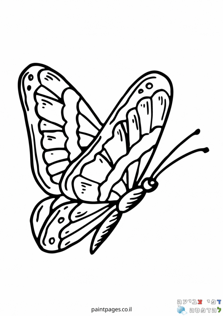 פרפרים לצביעה 🦋 דפי צביעה להדפסה