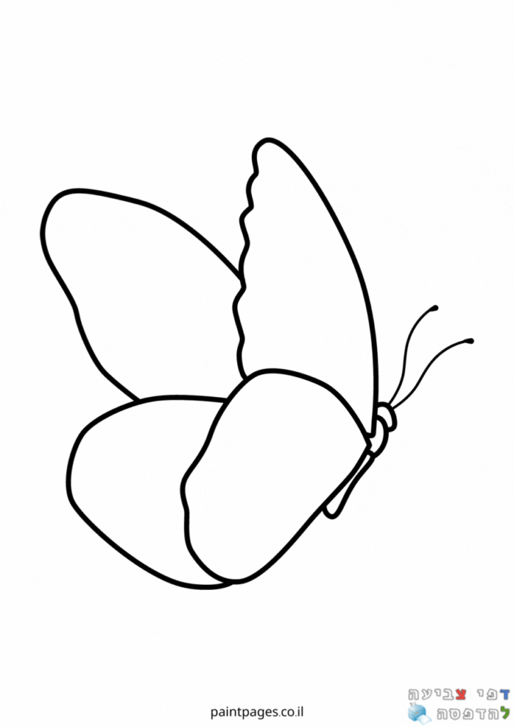 פרפרים לצביעה 🦋 דפי צביעה להדפסה