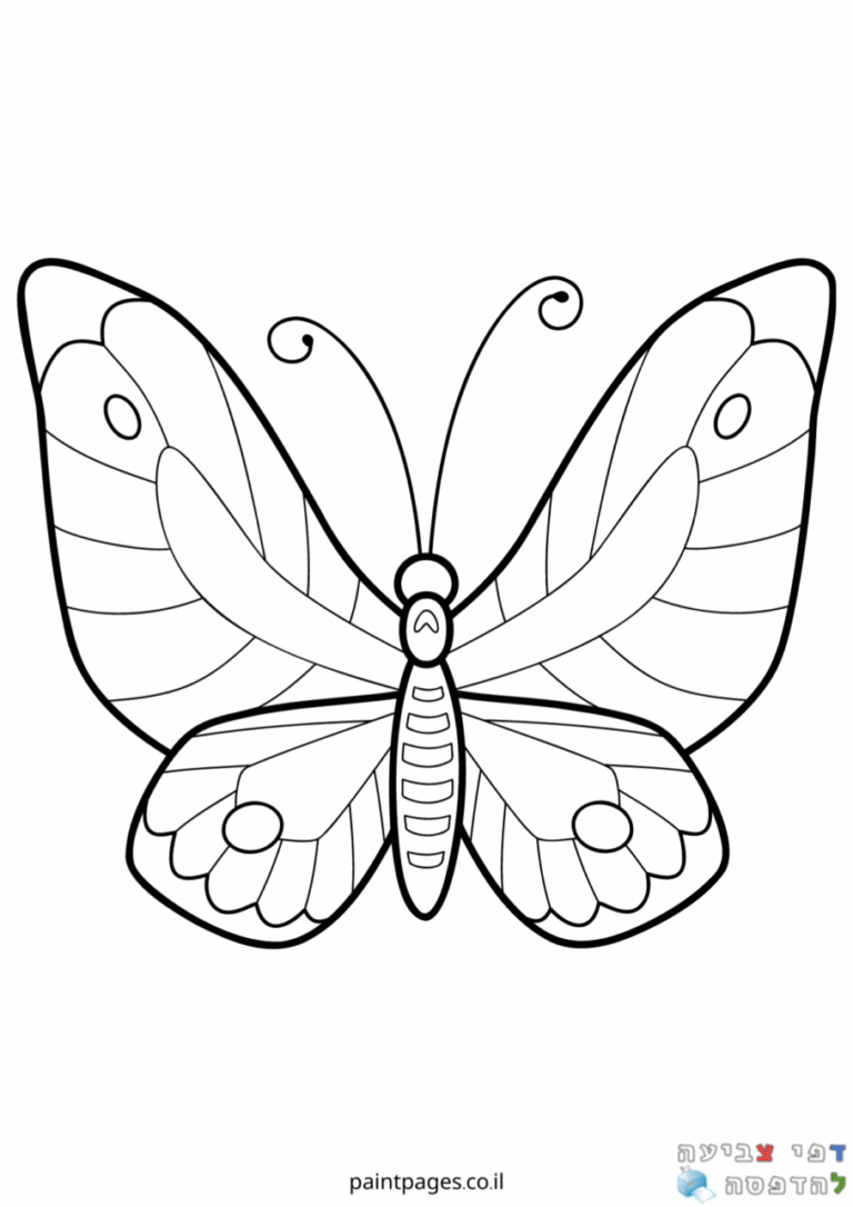 פרפרים לצביעה 🦋 דפי צביעה להדפסה