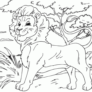 lion-feature