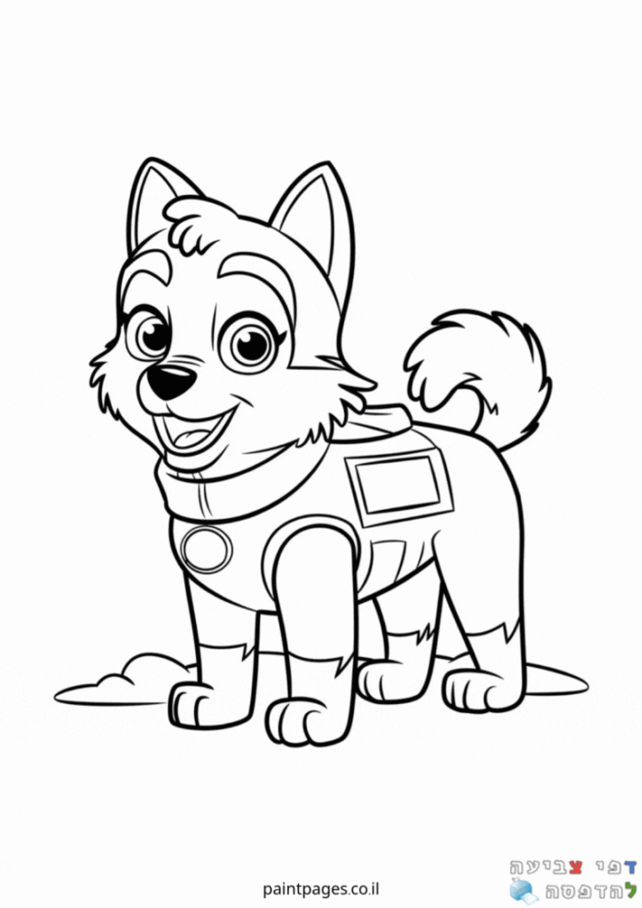 אוורסט המתוקה לצביעה