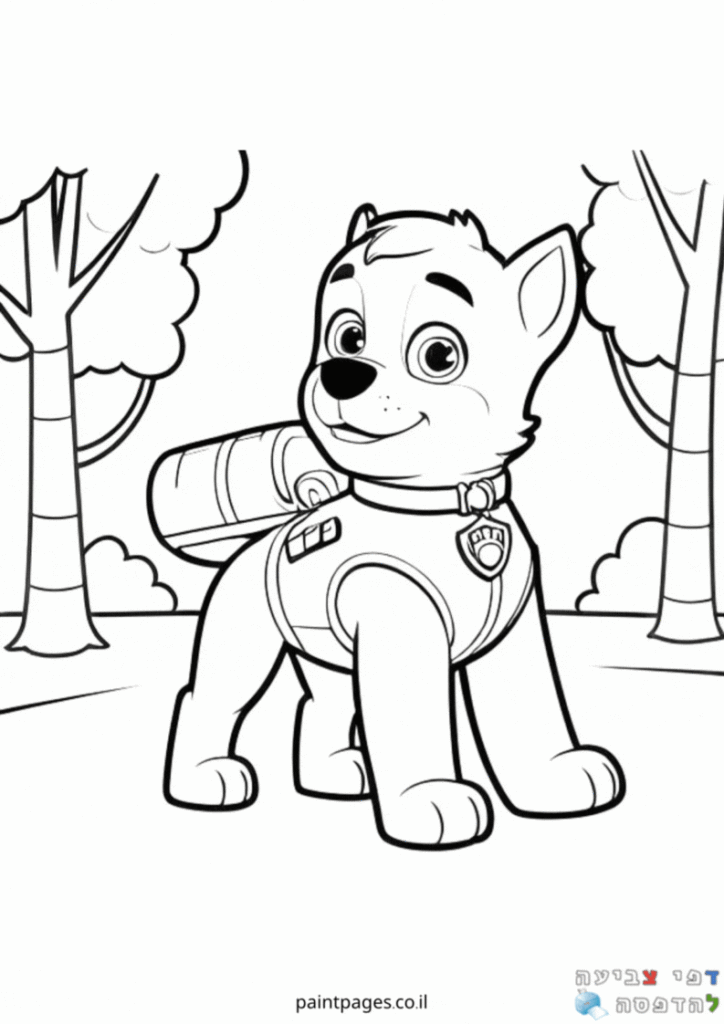 אוורסט מטייל בשדה לצביעה