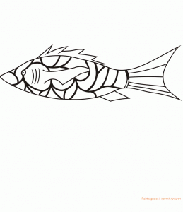 דף צביעה דג מעוטר