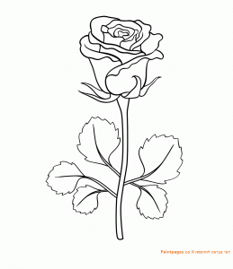 דף צביעה ורד להדפסה