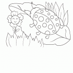 דף צביעה חיפושית על עלה