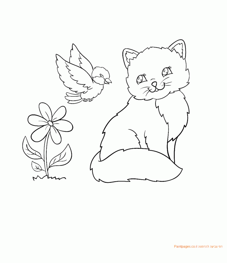 דף צביעה חתול עם ציפור ופרח