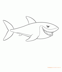 דף צביעה כריש