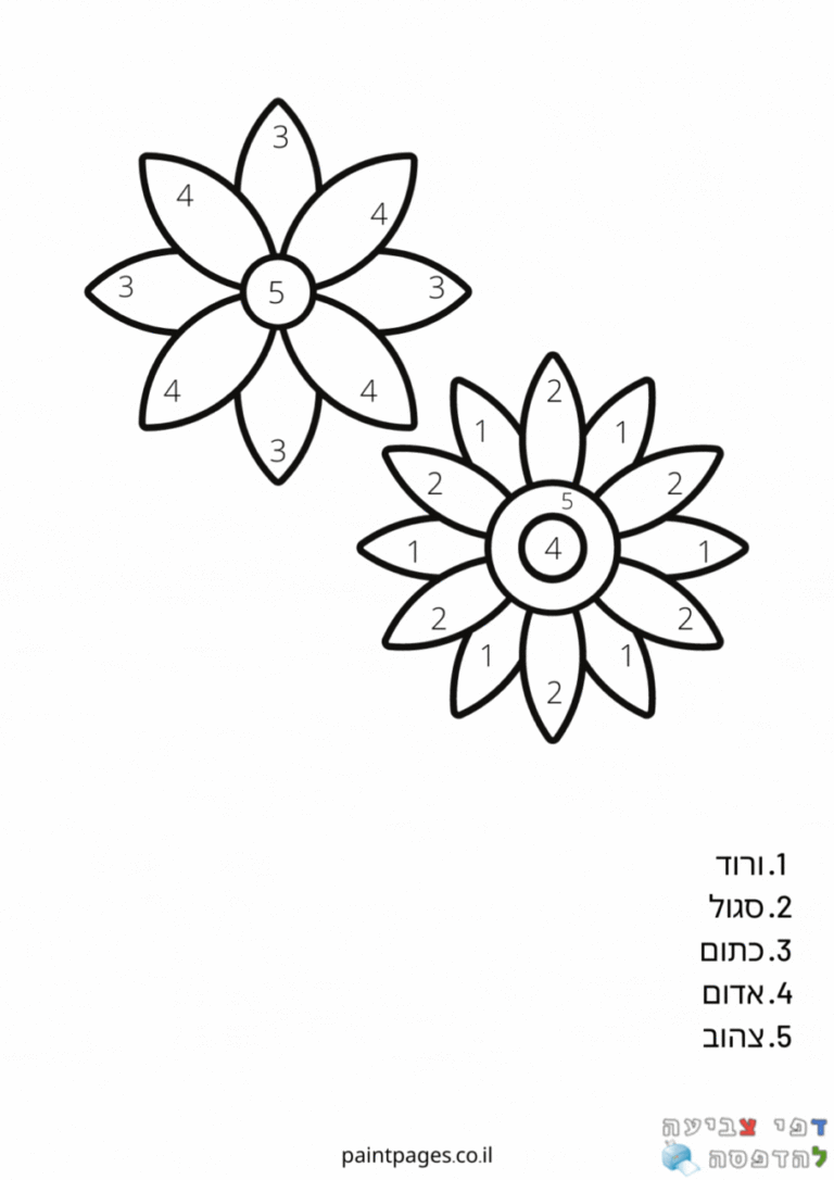 דף צביעה לפי מספרים - פרחים