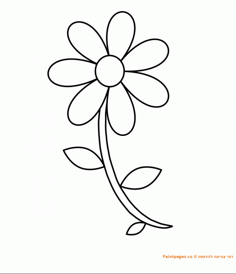 דף צביעה פרח להדפסה