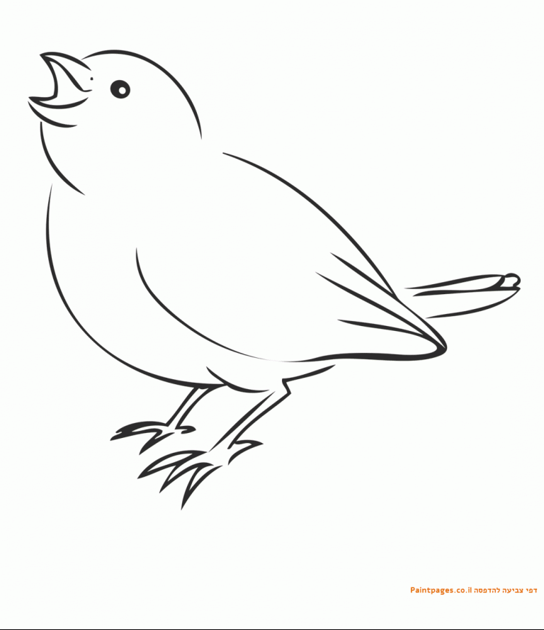 דף צביעה ציפור להדפסה