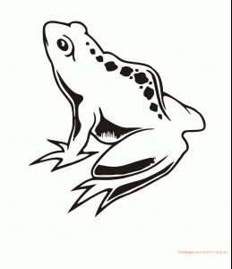 דף צביעה צפרדע קרפדה