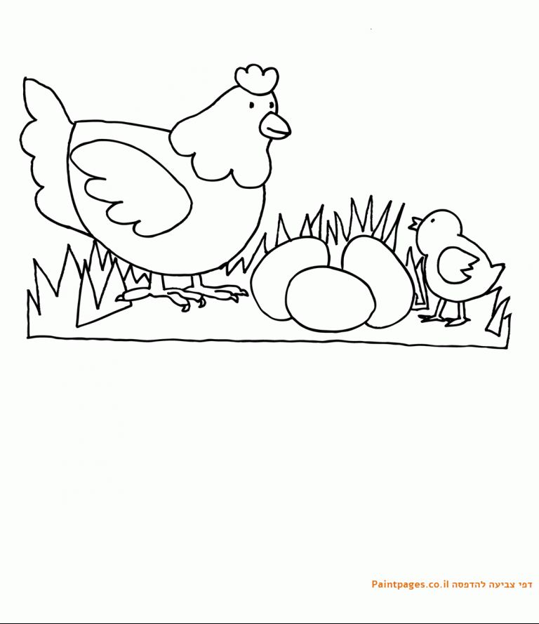 דף צביעה תרנגולת ואפרוחים