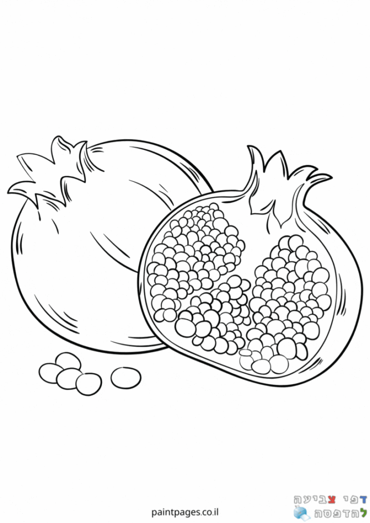 זוג רימונים לצביעה