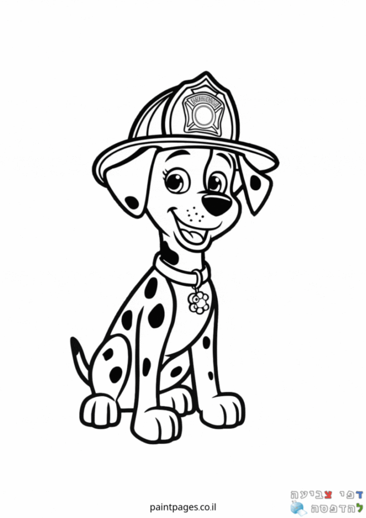 מרשל חייכן לצביעה