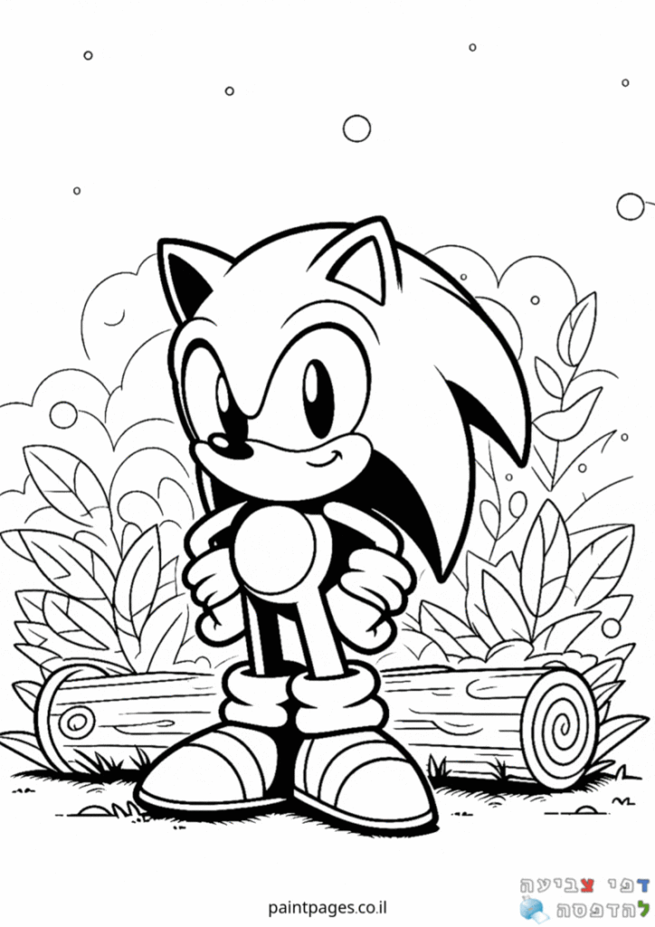 סוניק בגינה לצביעה