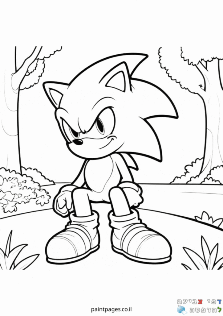 סוניק יושב בטבע לצביעה