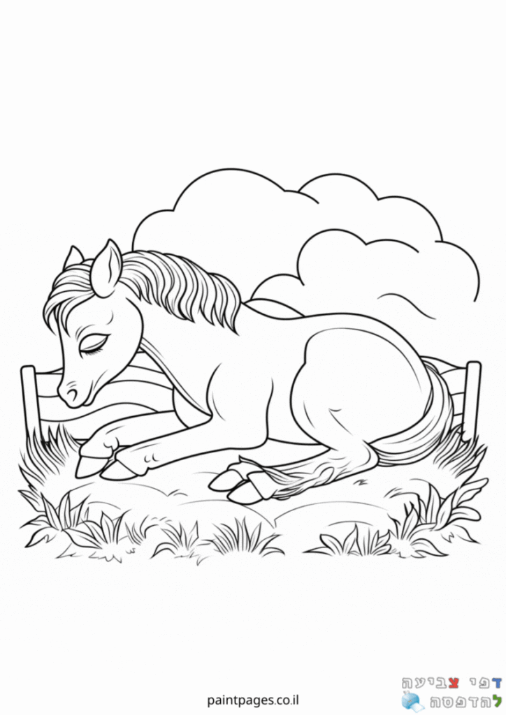 סוס צעיר ישן באחו לצביעה