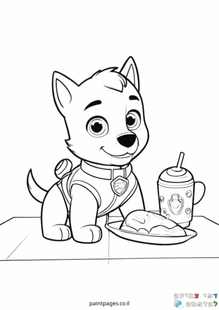 סקיי בארוחת צהריים לצביעה