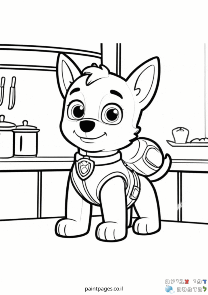 סקיי במטבח לצביעה