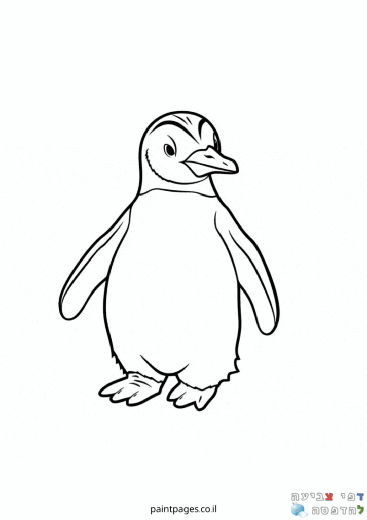 עוף ימי פינגווין לצביעה