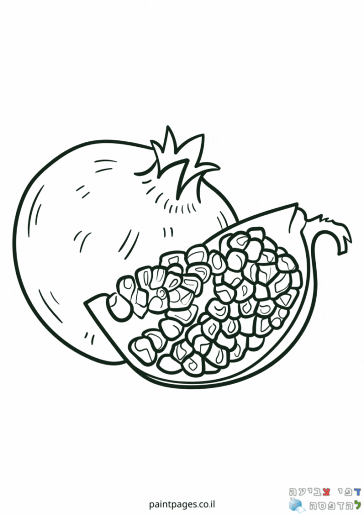 פלחי רימון לצביעה