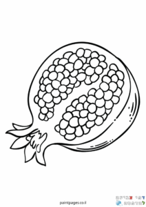 ציור שחור לבן של רימון חצוי לדפוס דפי צביעה למבוגרים באתר אנשים שאוהבים פעילות יצירה וצביעה צבעו רימון דפי צביעה דפים למבוגרים