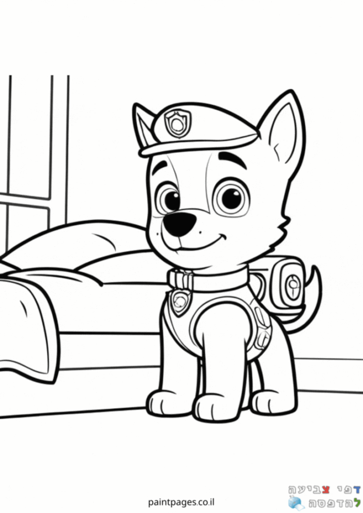 צייס מוכן לצאת למשימה לצביעה