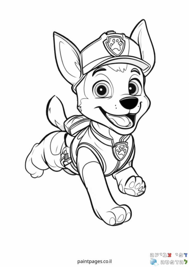 צ׳ייס בפעולה לצביעה