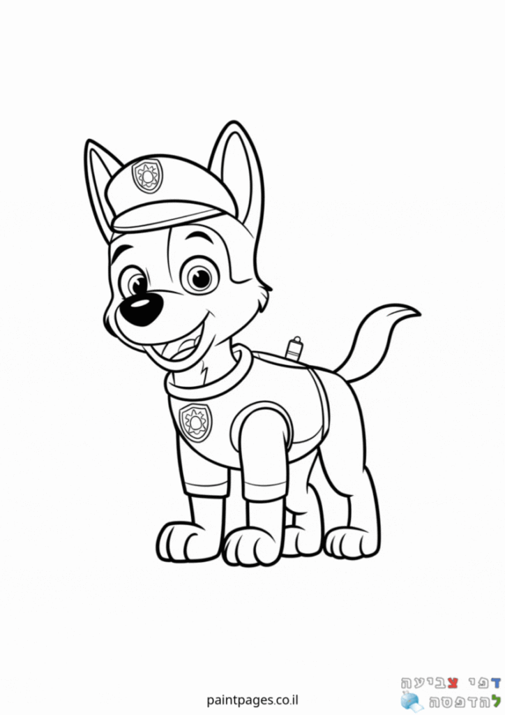 צ׳ייס חמוד לצביעה