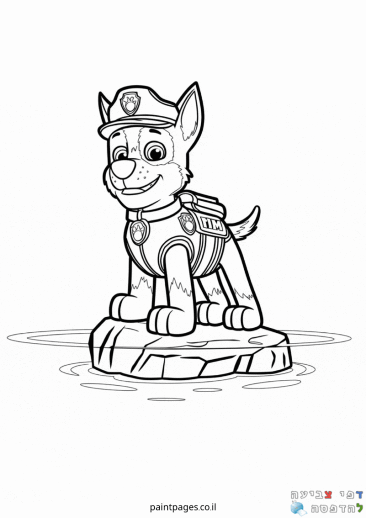 צ׳ייס עומד זקוף לצביעה