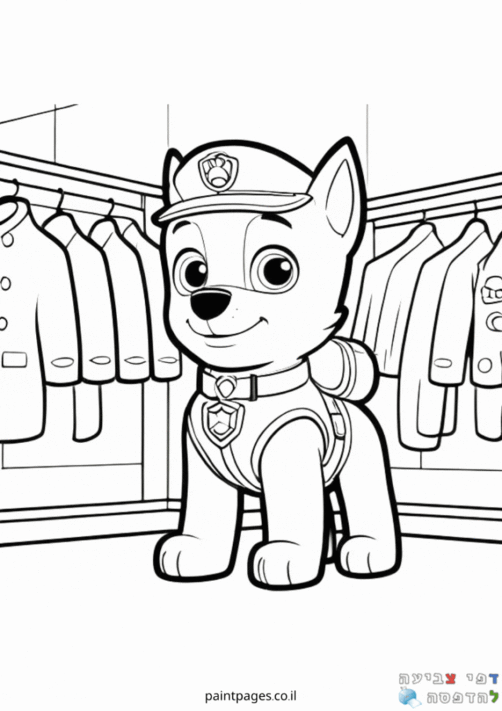 רוקי בארון הבגדים לצביעה