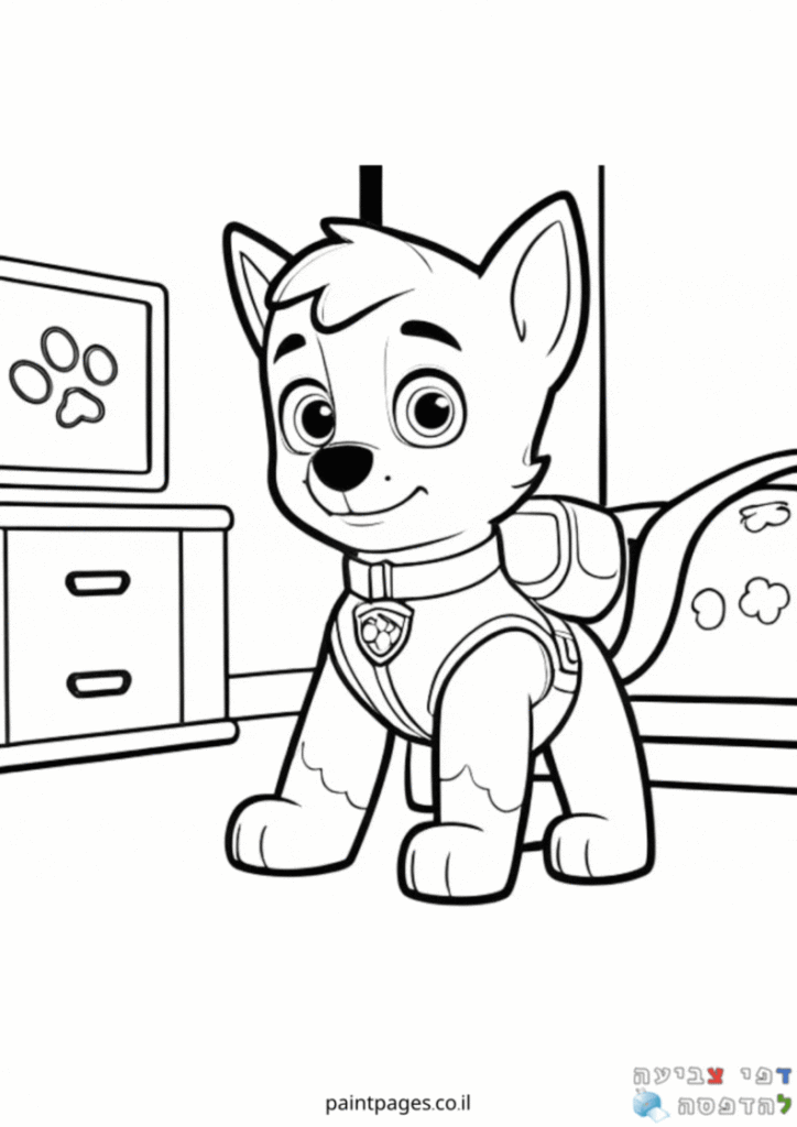 רוקי בחדר השינה לצביעה