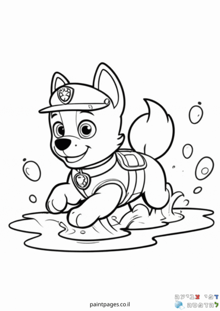 רוקי לצביעה