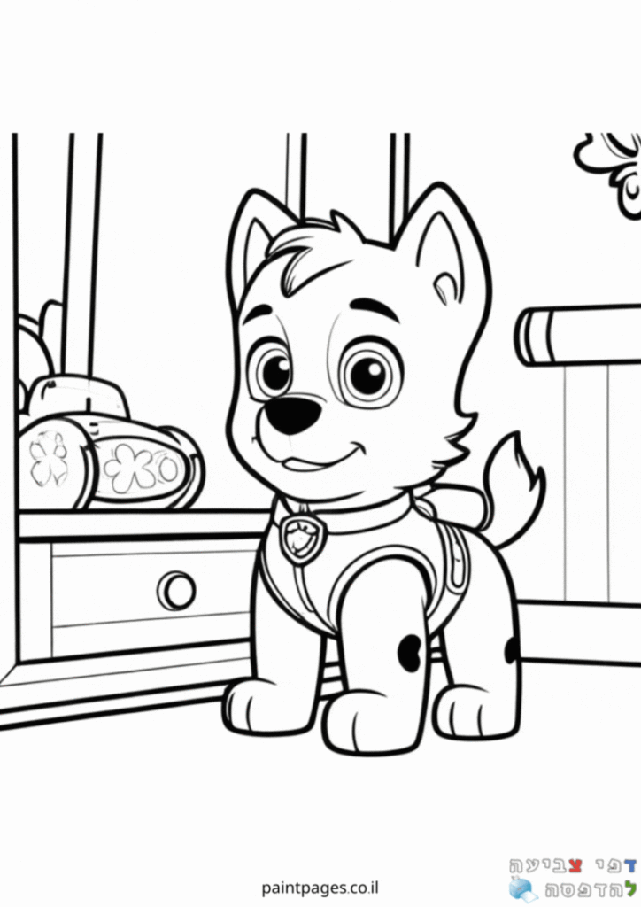 רוקי ממתין למשימה לצביעה